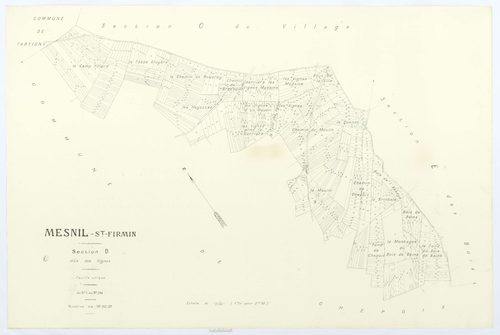 Le Mesnil-Saint-Firmin - Cadastre napoléonien (copie), section D, feuille unique