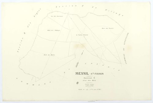 Le Mesnil-Saint-Firmin - Cadastre napoléonien (copie), section E, feuille unique