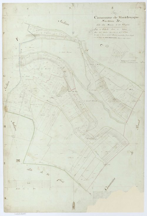 Mont-l'Évêque - Cadastre napoléonien, section D, feuille unique