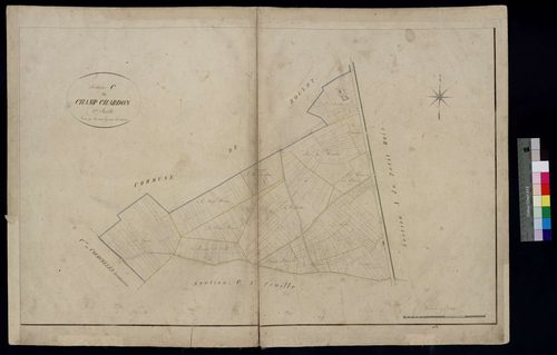 Mortemer - Cadastre napoléonien, section C1