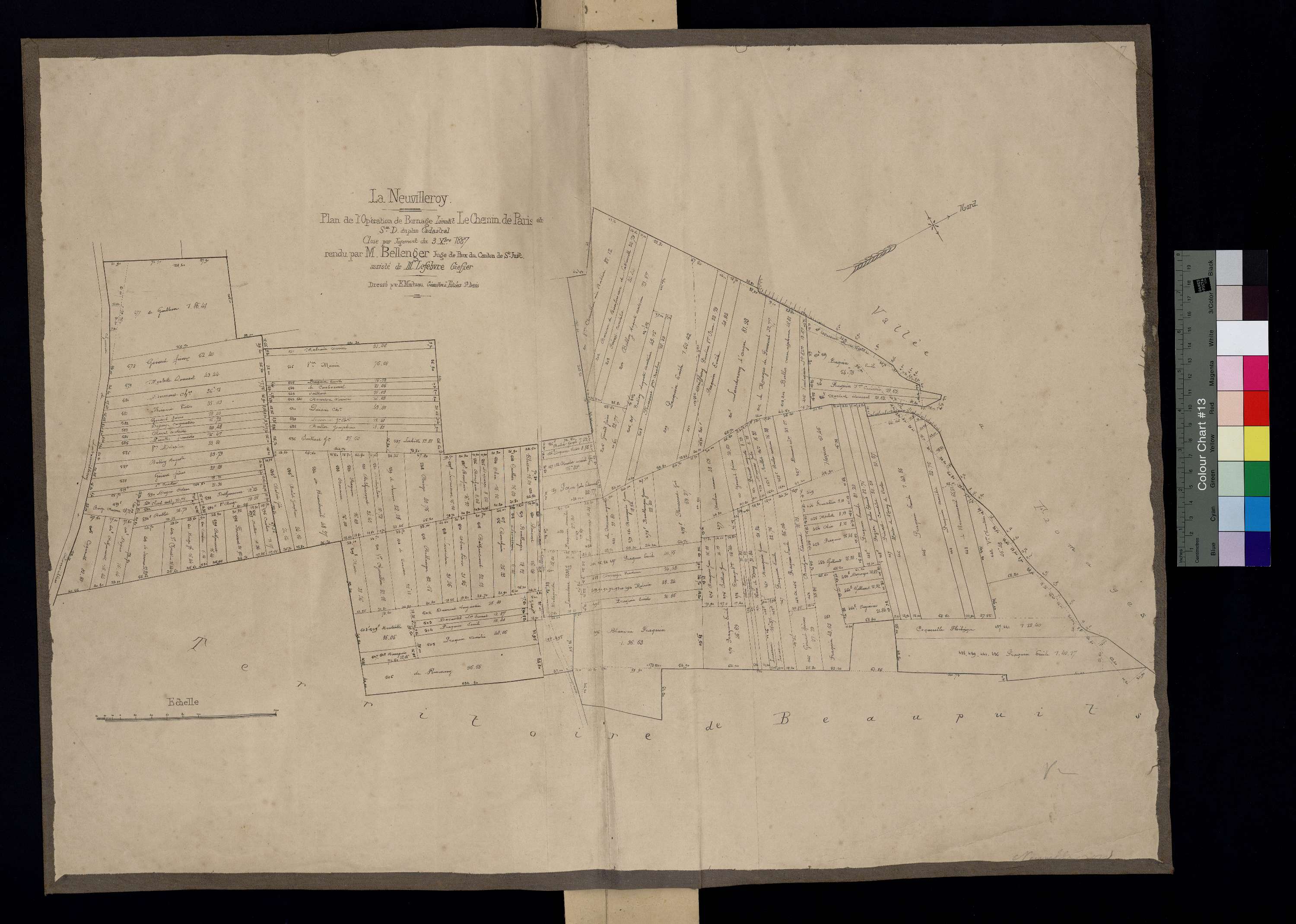 La Neuville-Roy - Cadastre napoléonien, Plan de bornage, section D