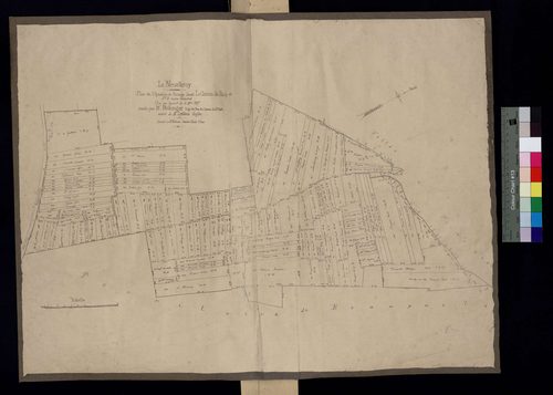 La Neuville-Roy - Cadastre napoléonien, Plan de bornage, section D