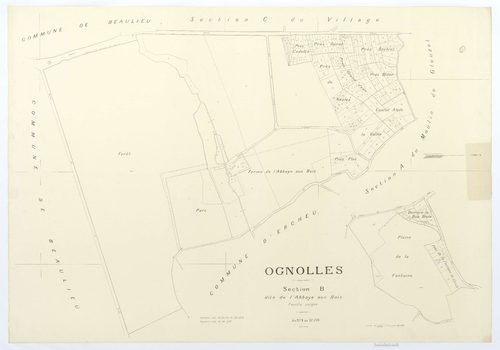 Ognolles - Cadastre napoléonien (copie), section B, feuille unique