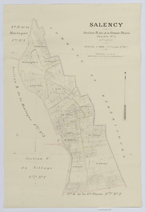 Salency - Cadastre napoléonien (copie), section D1