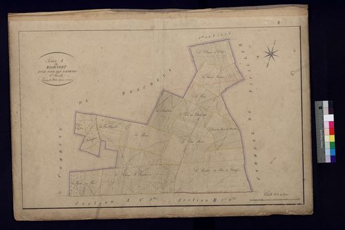 Therdonne - Cadastre napoléonien, section A1