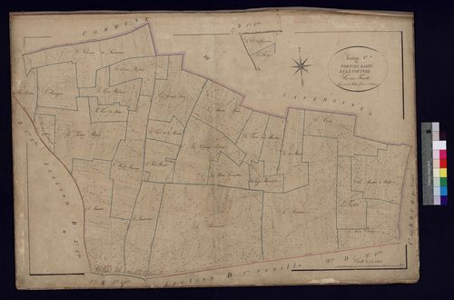 Therdonne - Cadastre napoléonien, section C