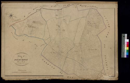 Thérines - Cadastre napoléonien, section C