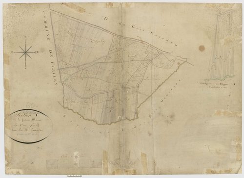 Thiers-sur-Thève - Cadastre napoléonien, section C