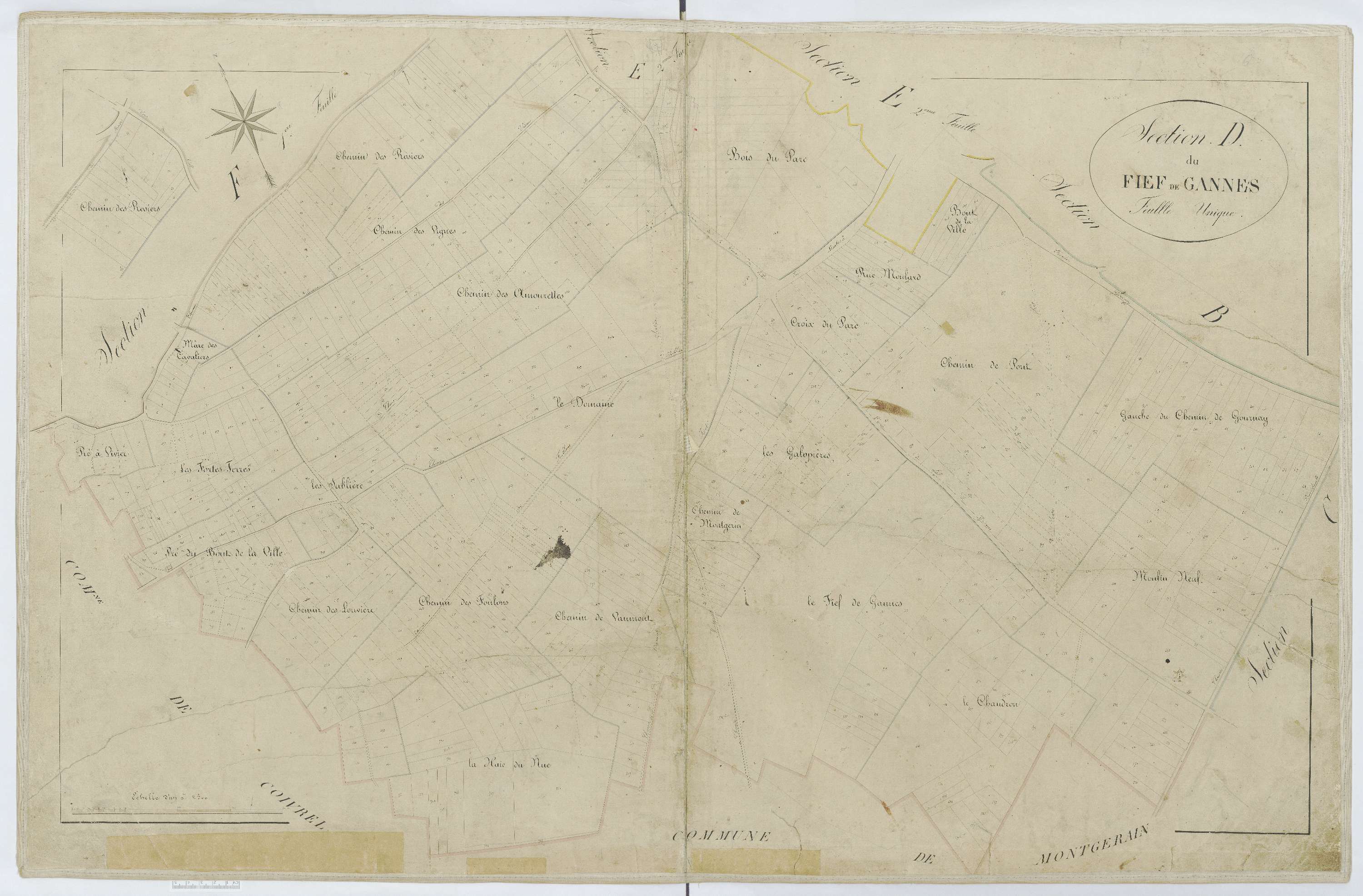 Tricot - Cadastre napoléonien, section D