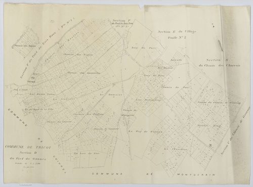 Tricot - Cadastre napoléonien (copie), section D, feuille unique