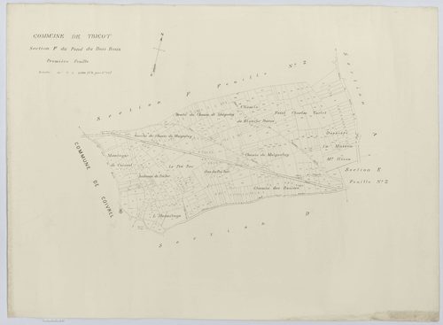 Tricot - Cadastre napoléonien (copie), section F1