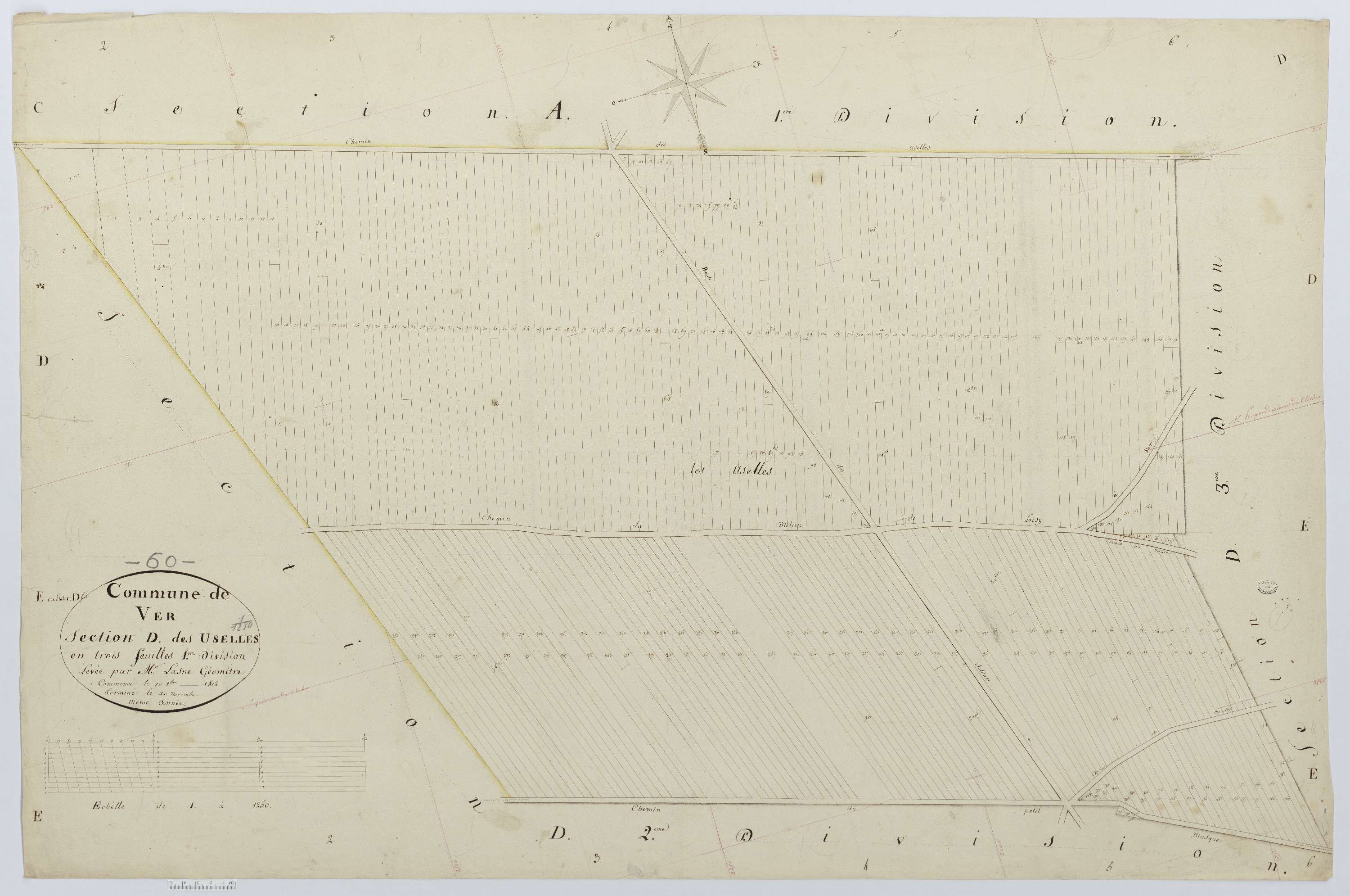 Ver-sur-Launette - Cadastre napoléonien, section D1