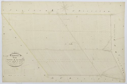 Ver-sur-Launette - Cadastre napoléonien, section D1
