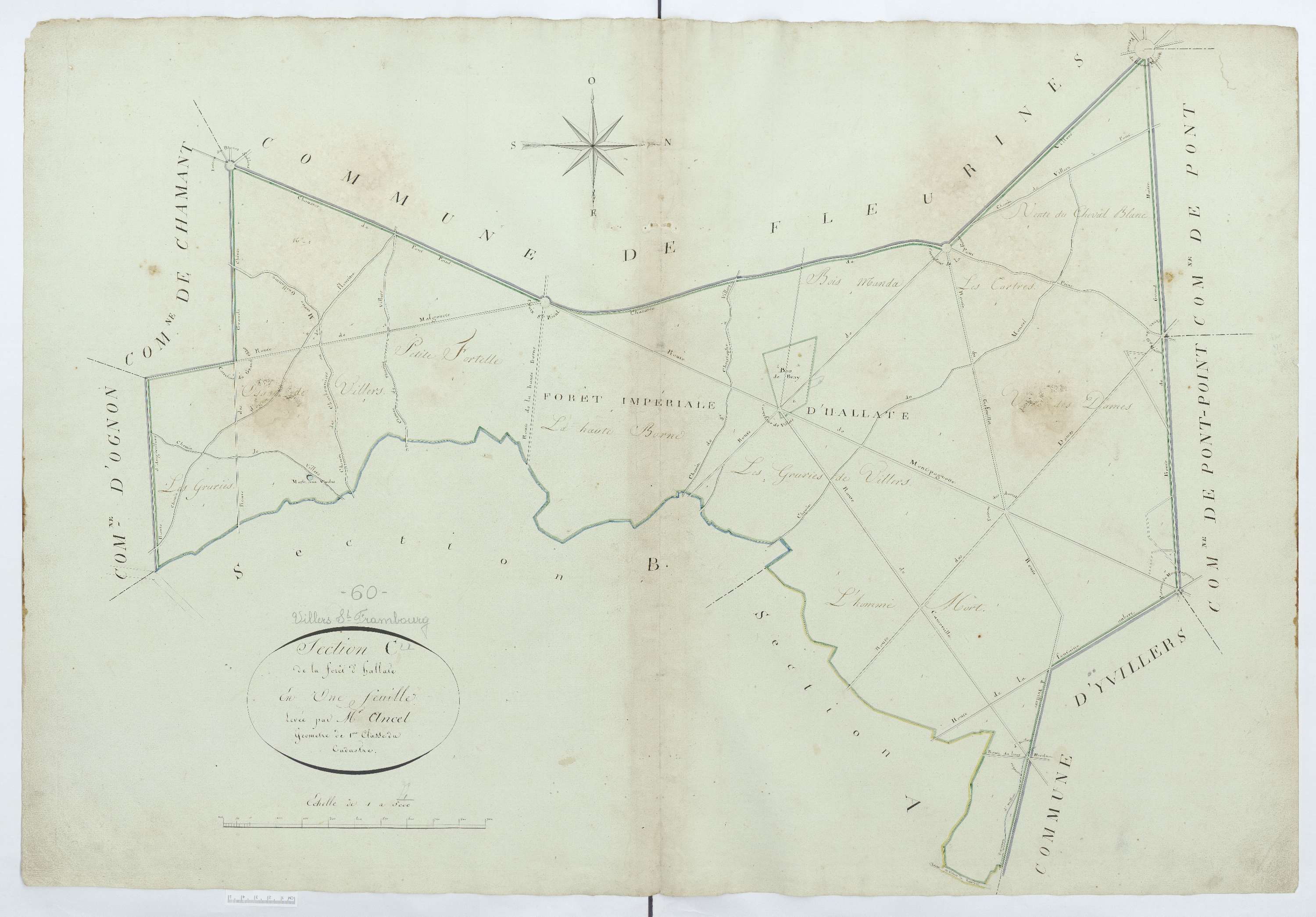 Villers-Saint-Frambourg - Cadastre napoléonien, section C