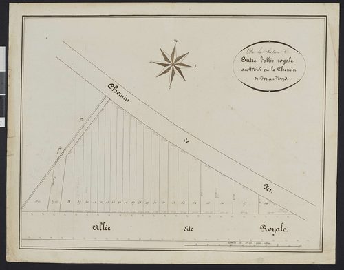 Vineuil-Saint-Firmin - Cadastre napoléonien, extrait de la section C entre l’allée royale au midi et le chemin de fer au nord, réalisé lors de la construction de la ligne de chemin de fer de Chantilly-Gouvieux à Senlis