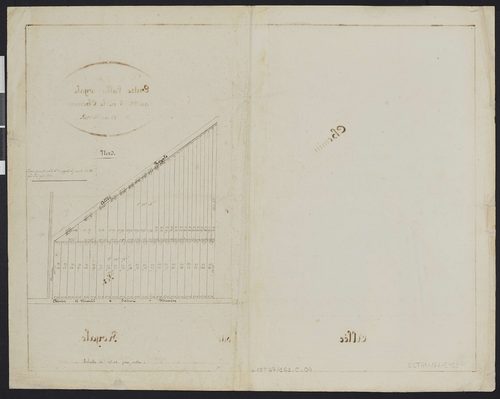 Vineuil-Saint-Firmin - Cadastre napoléonien, extrait de la section C entre l’allée royale et le chemin de Vineuil à Saint-Firmin, réalisé lors de la construction de la ligne de chemin de fer de Chantilly-Gouvieux à Senlis