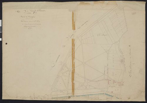 Vineuil-Saint-Firmin - Cadastre napoléonien, section F, feuille unique