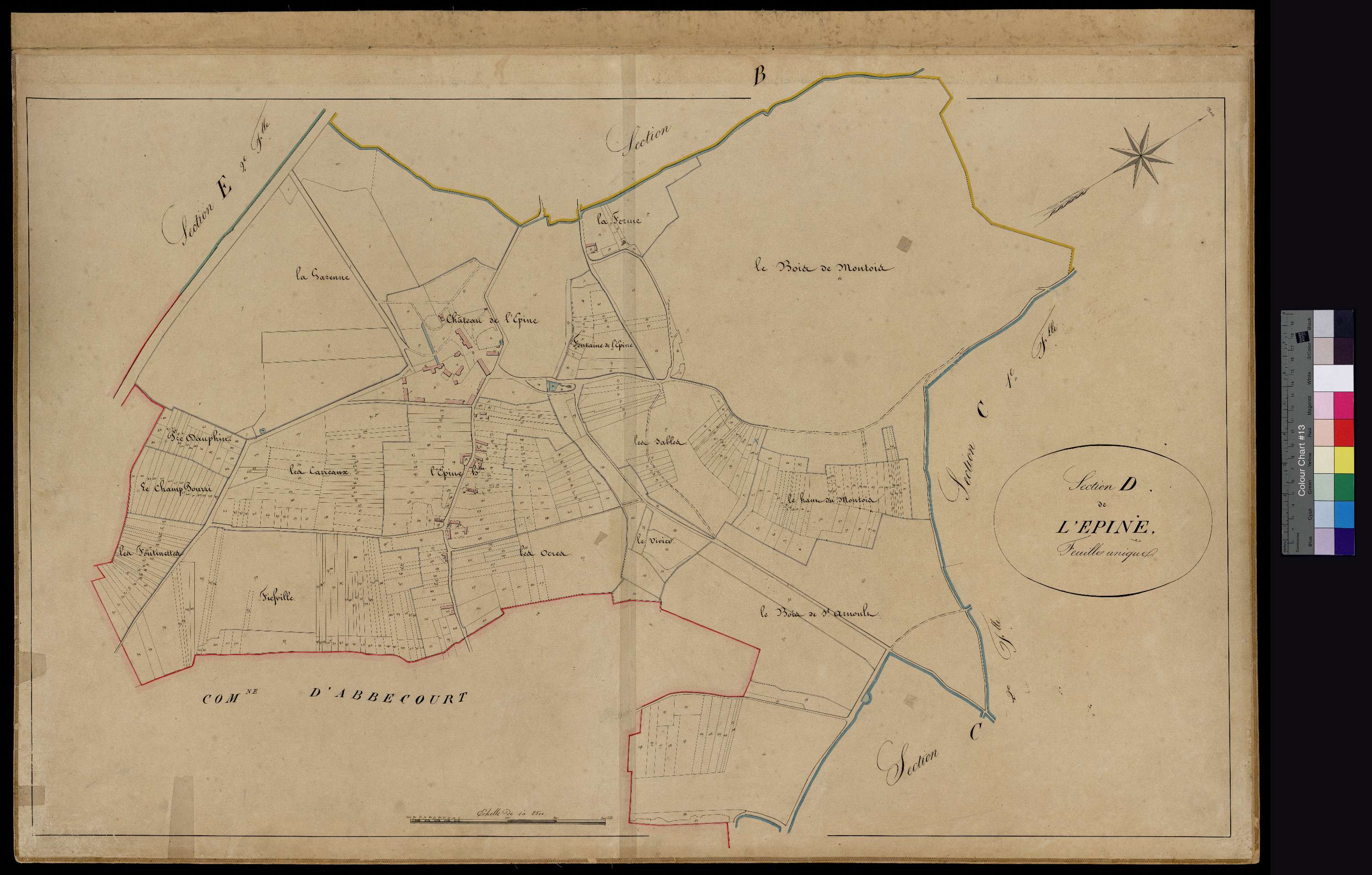 Warluis - Cadastre napoléonien, section D