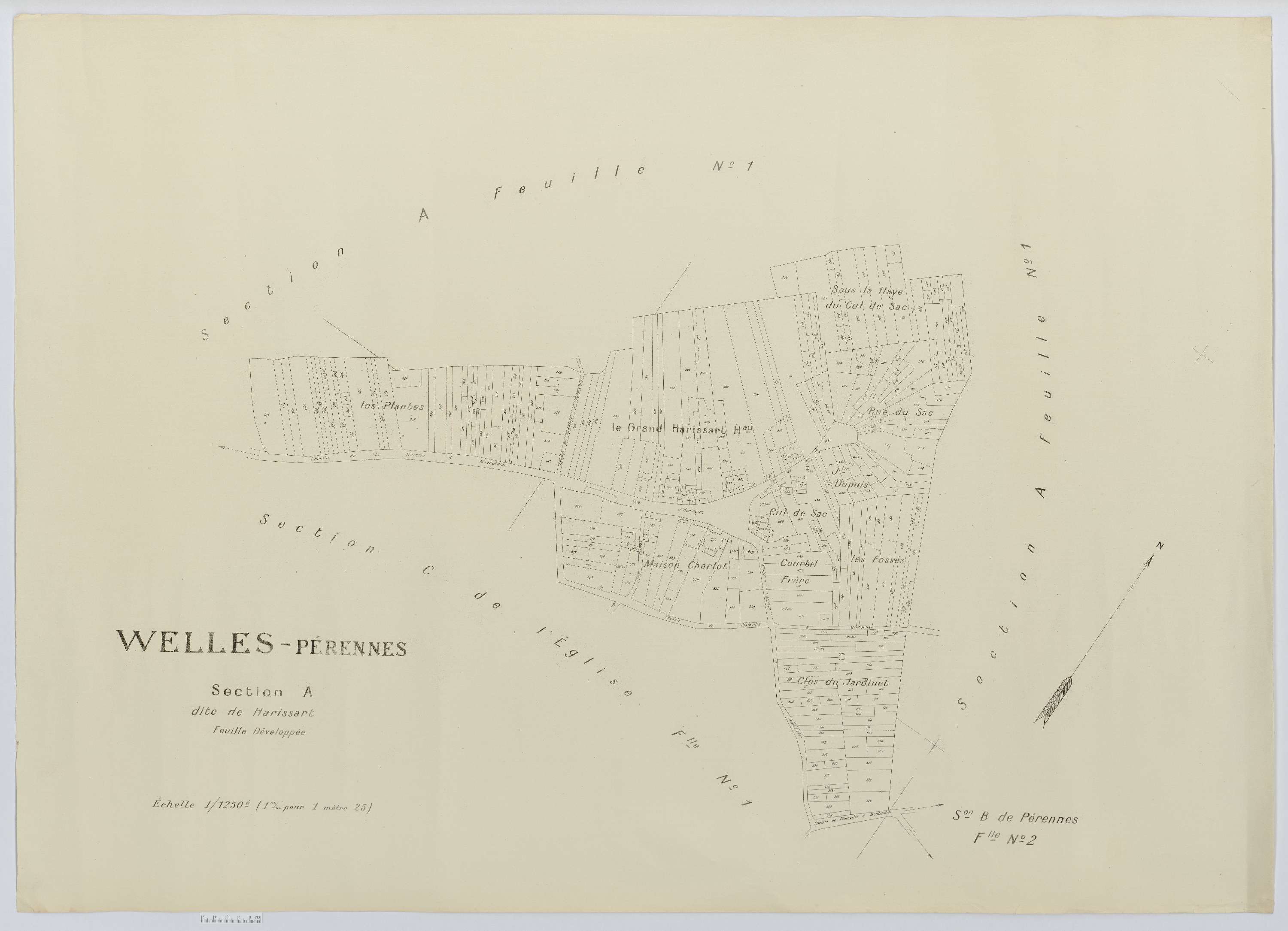 Welles-Pérennes - Cadastre napoléonien (copie), développement de la section A