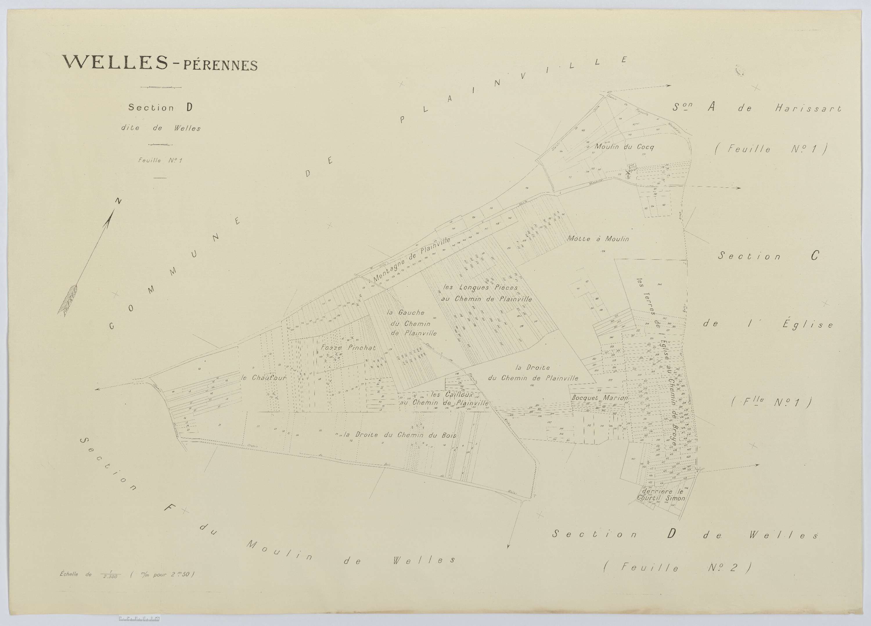 Welles-Pérennes - Cadastre napoléonien (copie), section D1