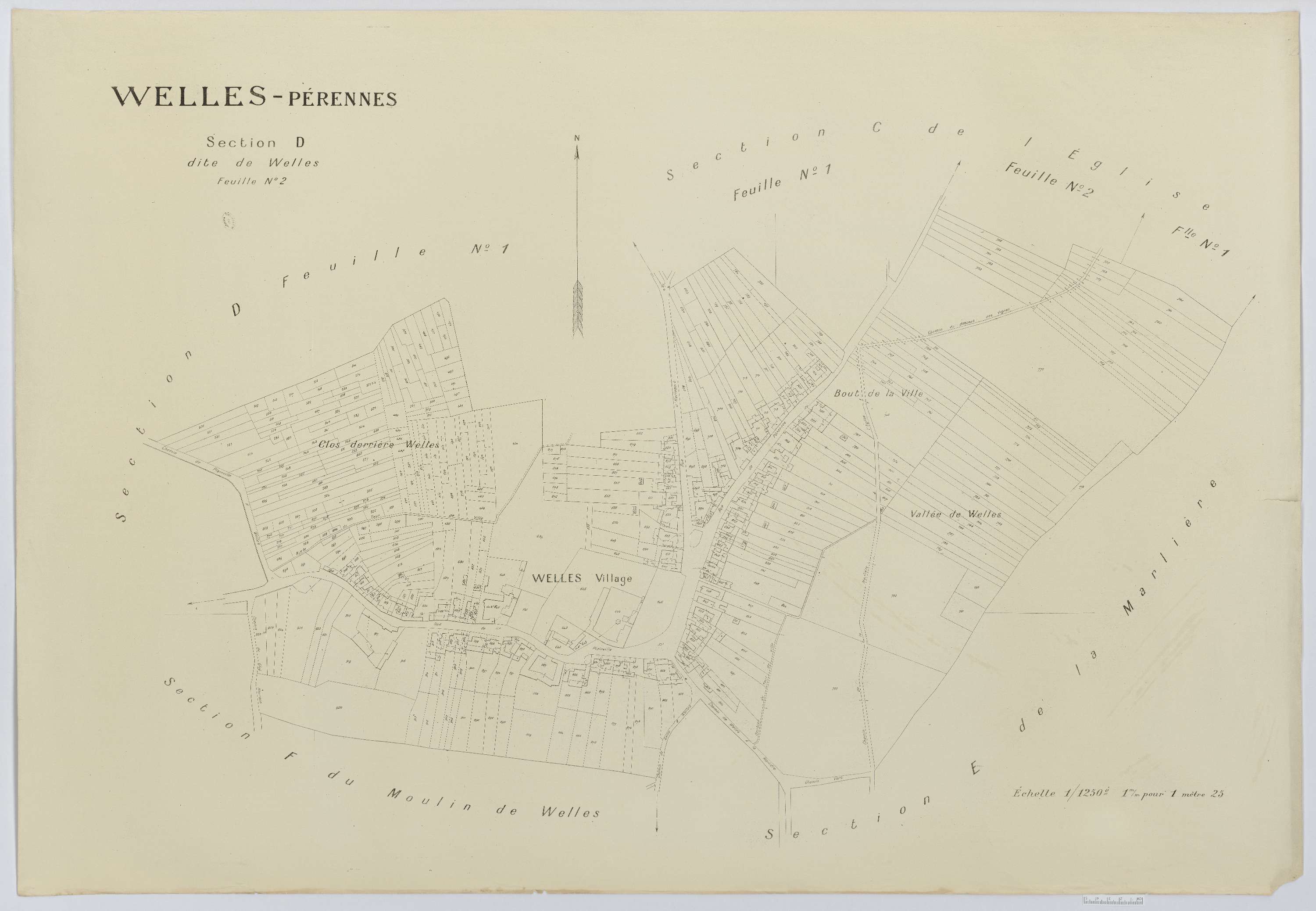 Welles-Pérennes - Cadastre napoléonien (copie), section D2