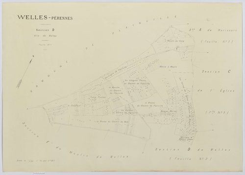 Welles-Pérennes - Cadastre napoléonien (copie), section D1