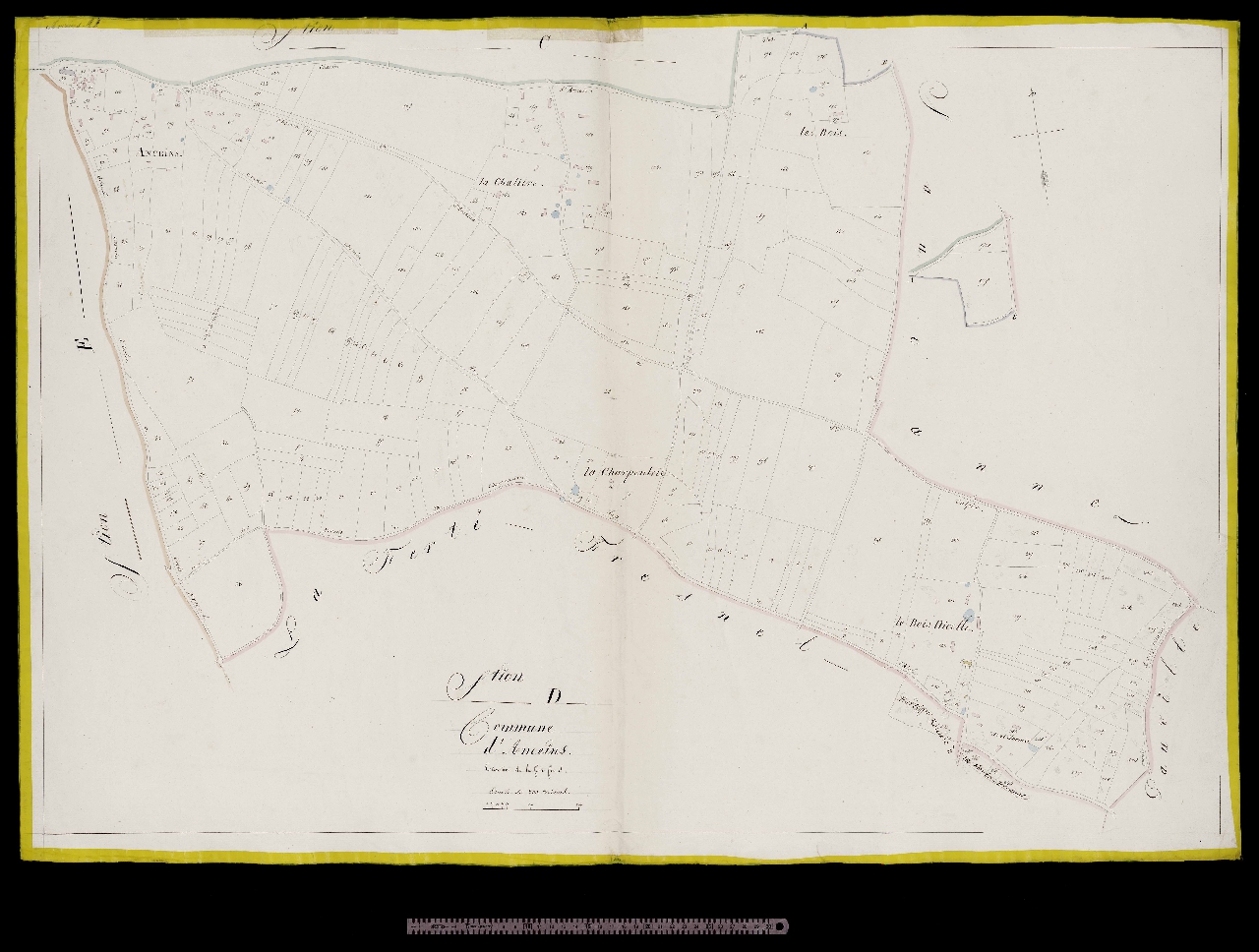 Section D