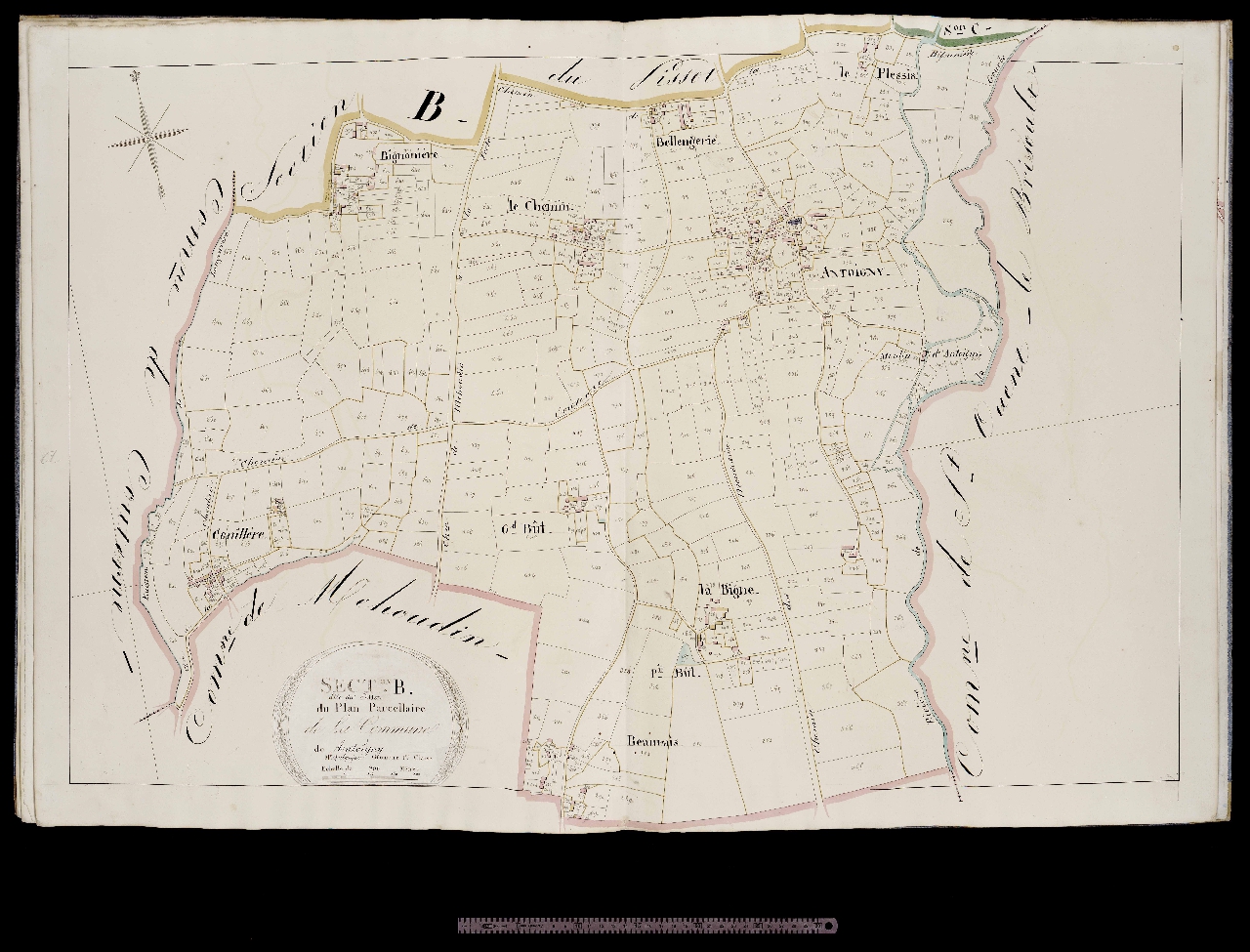 Section B