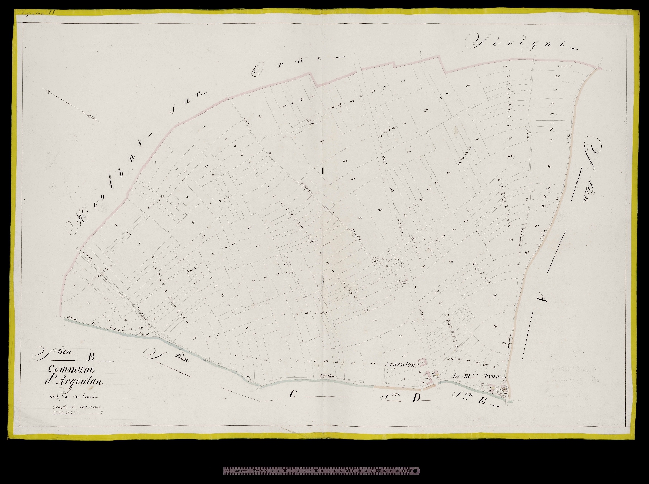 Section B