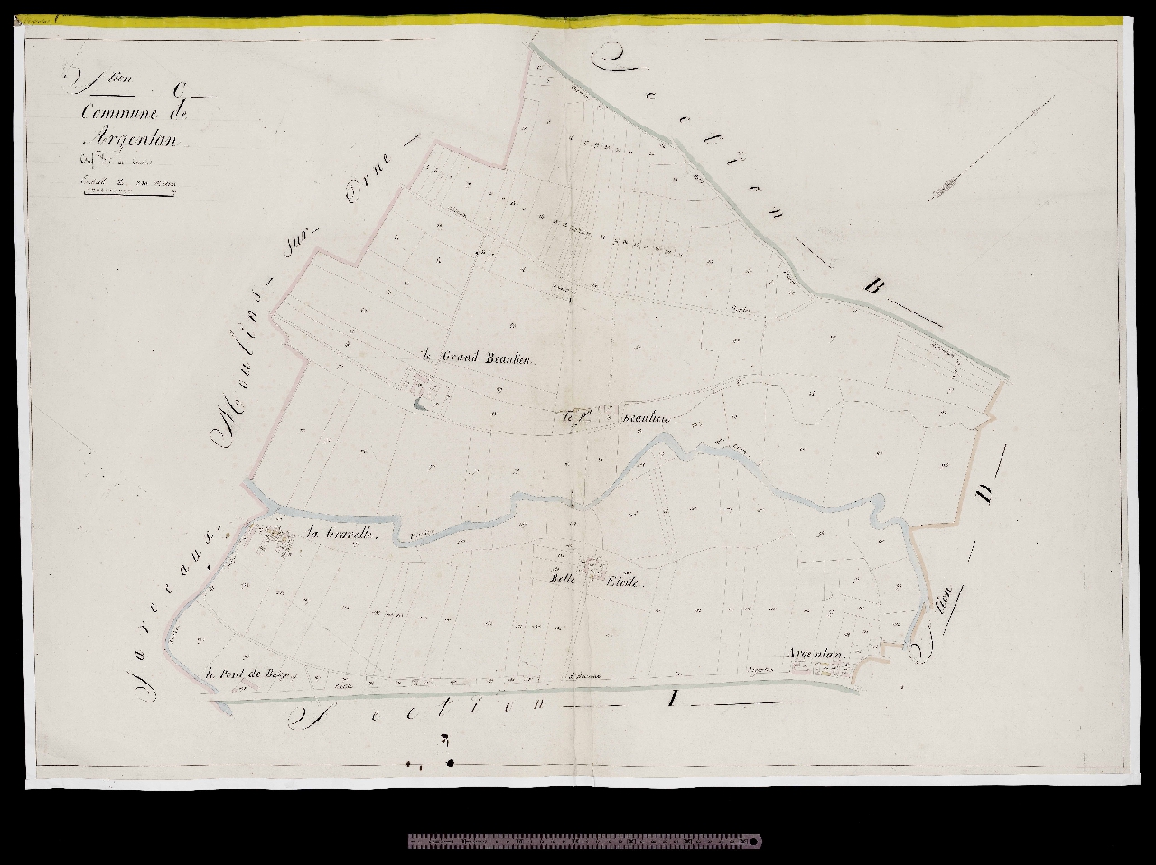 Section C