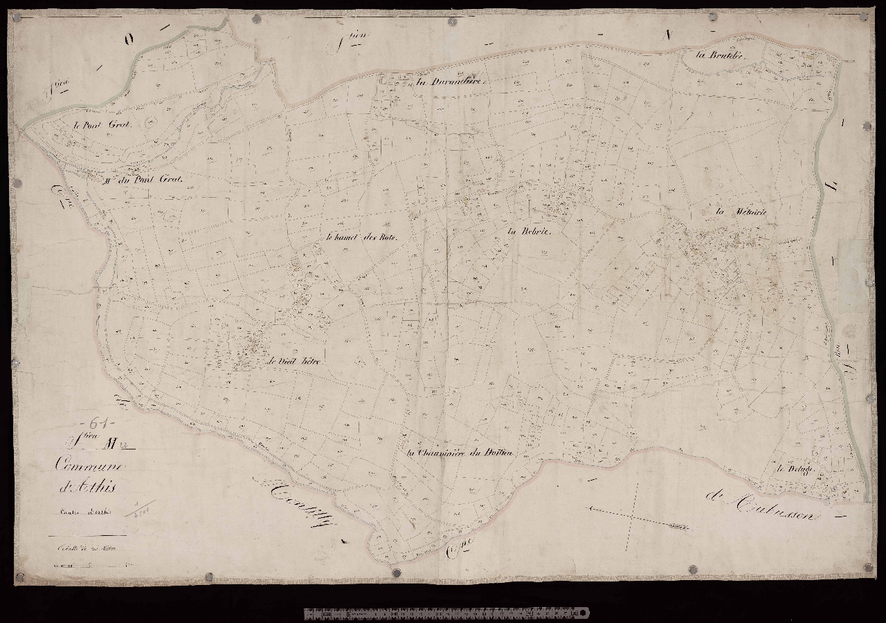 Section M