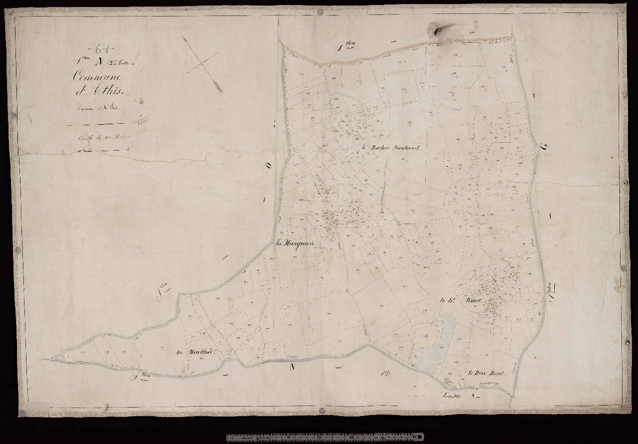 Section N2