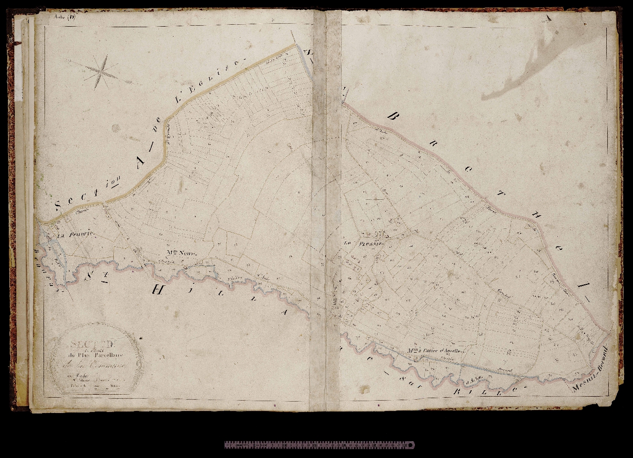 Section D