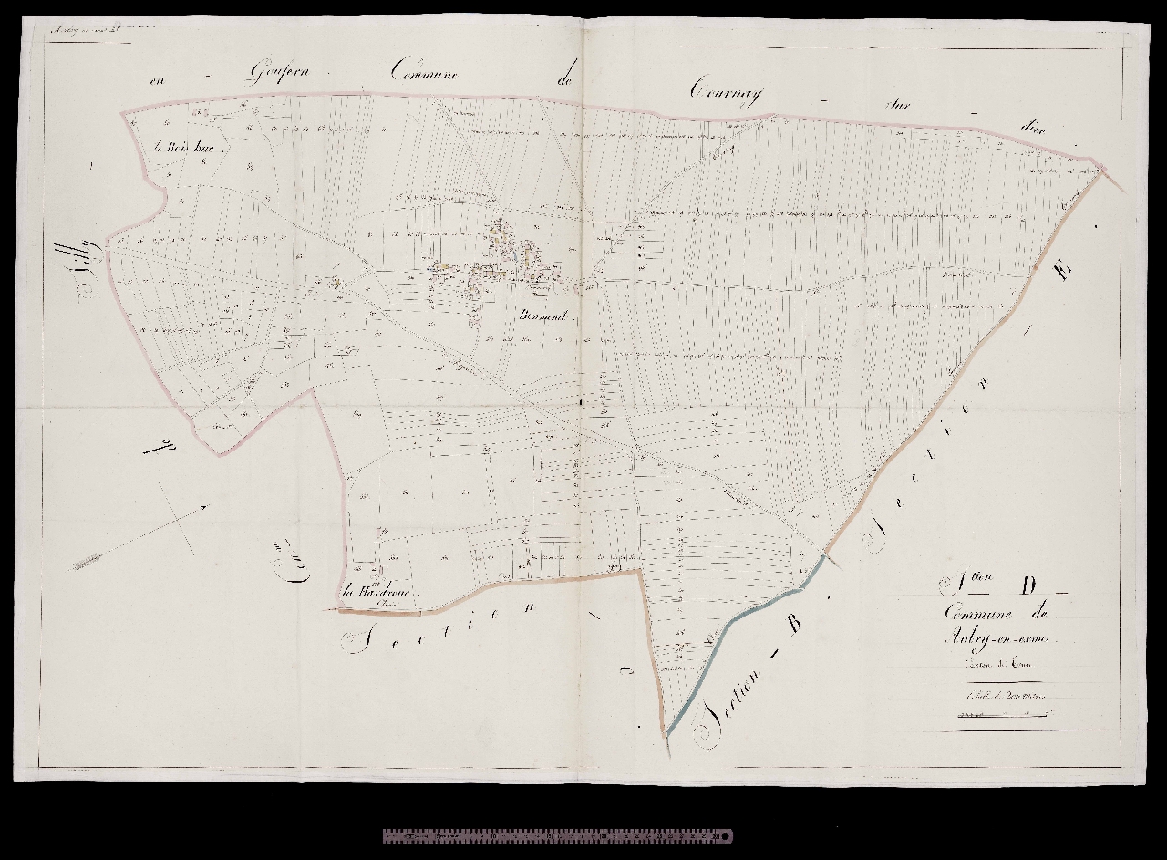 Section D