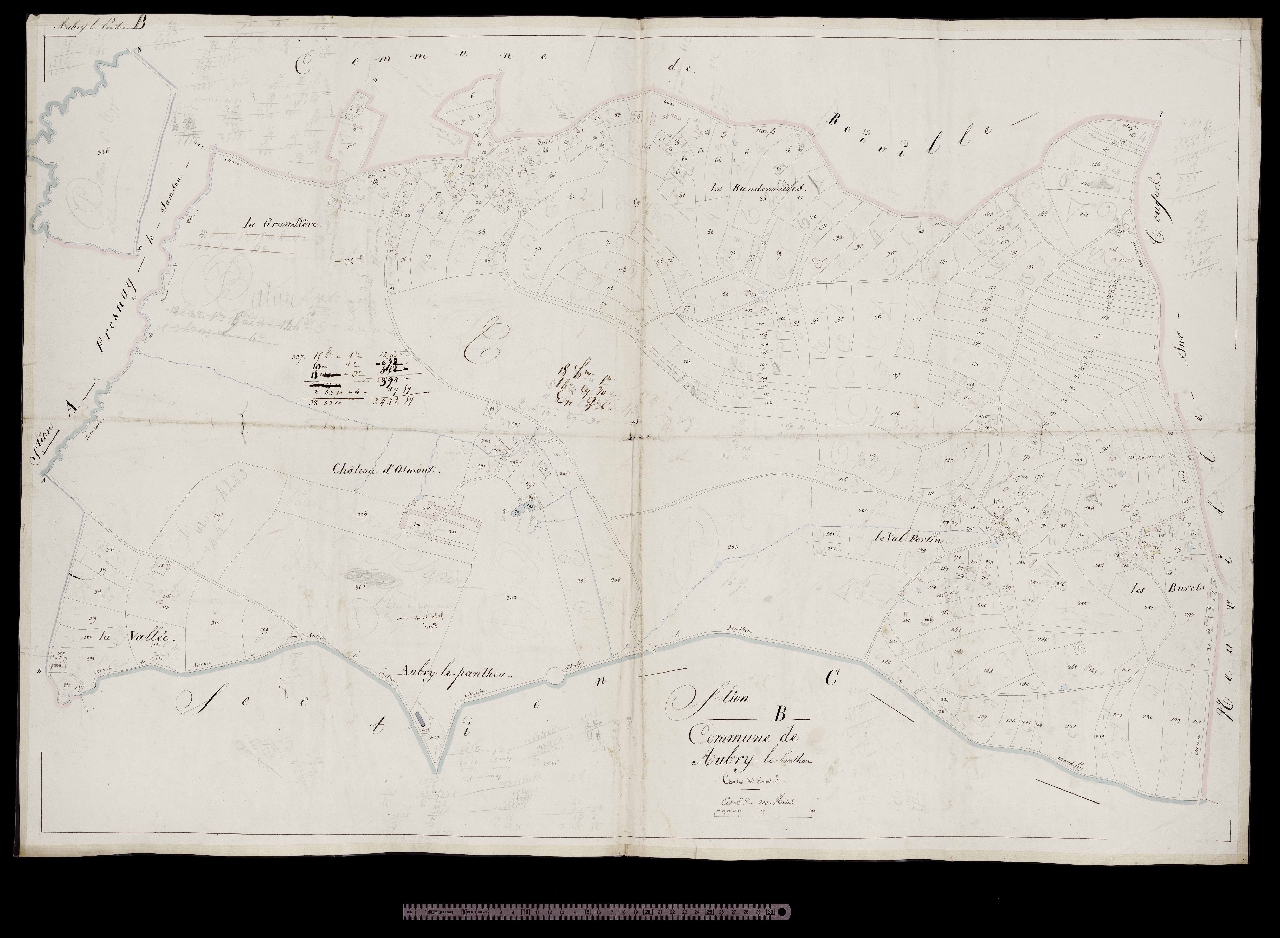 Section B