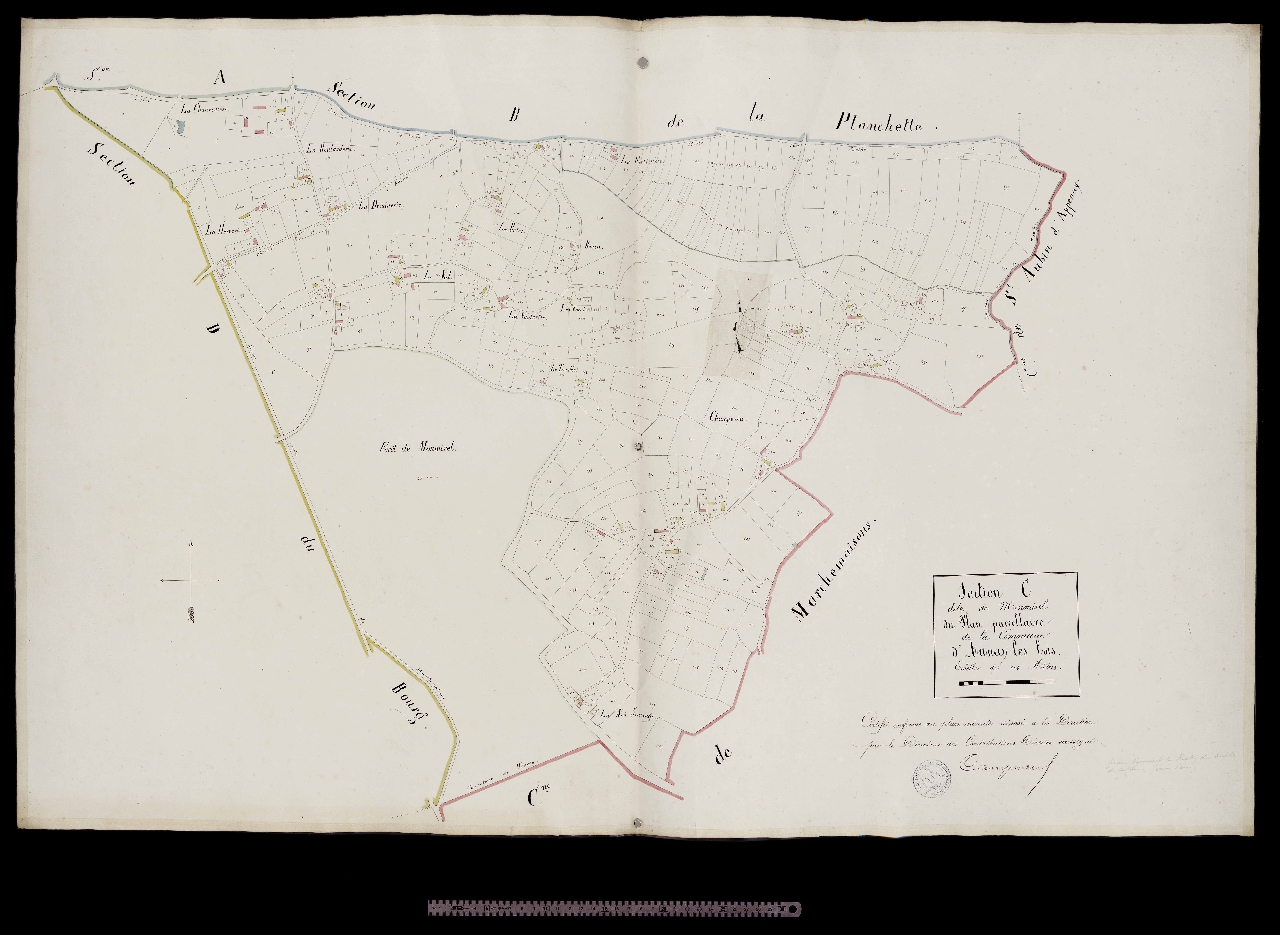 Section C