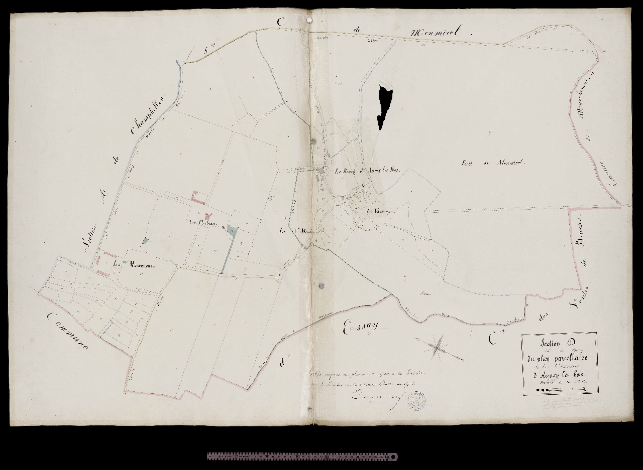 Section D