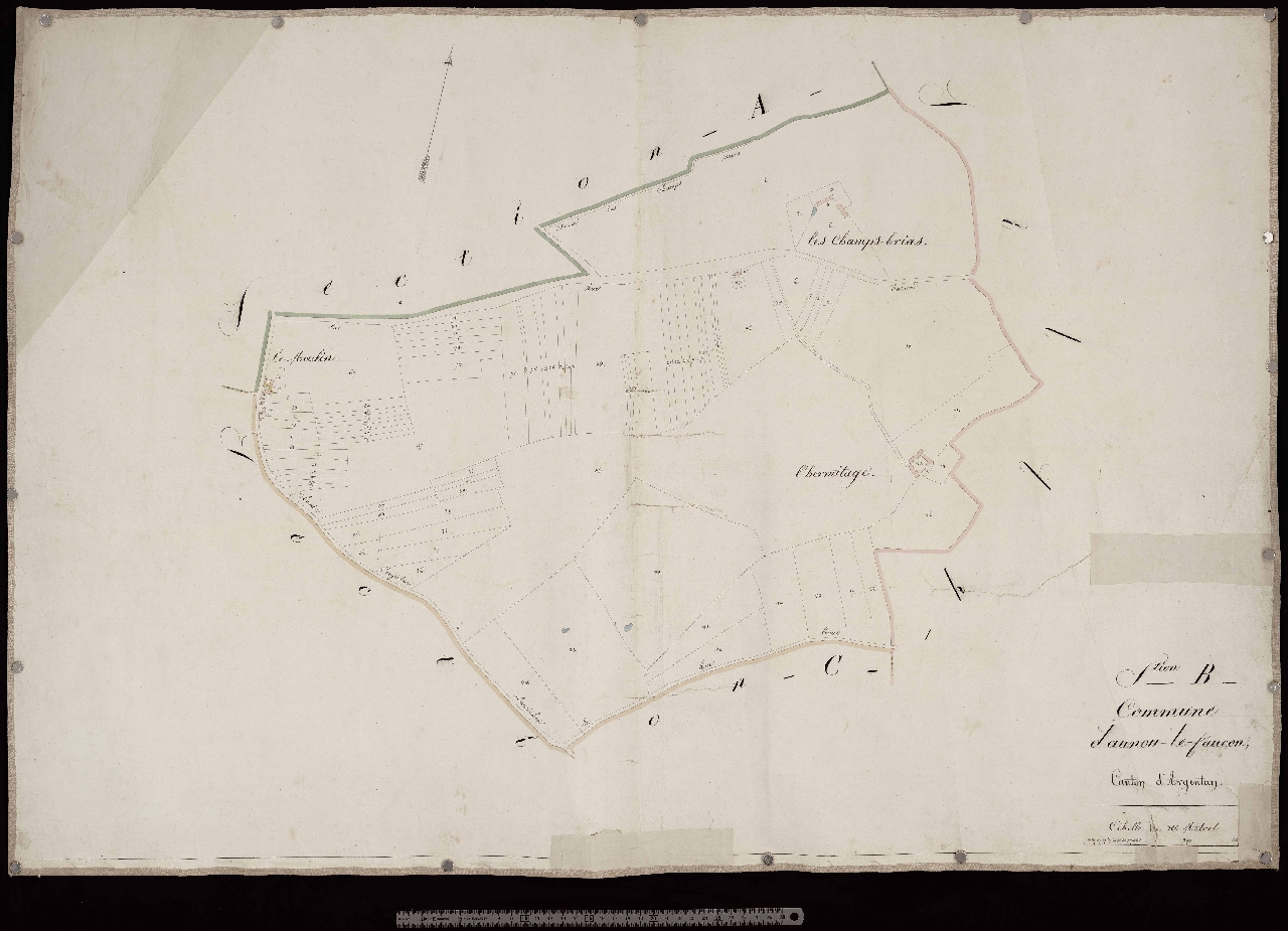 Section B