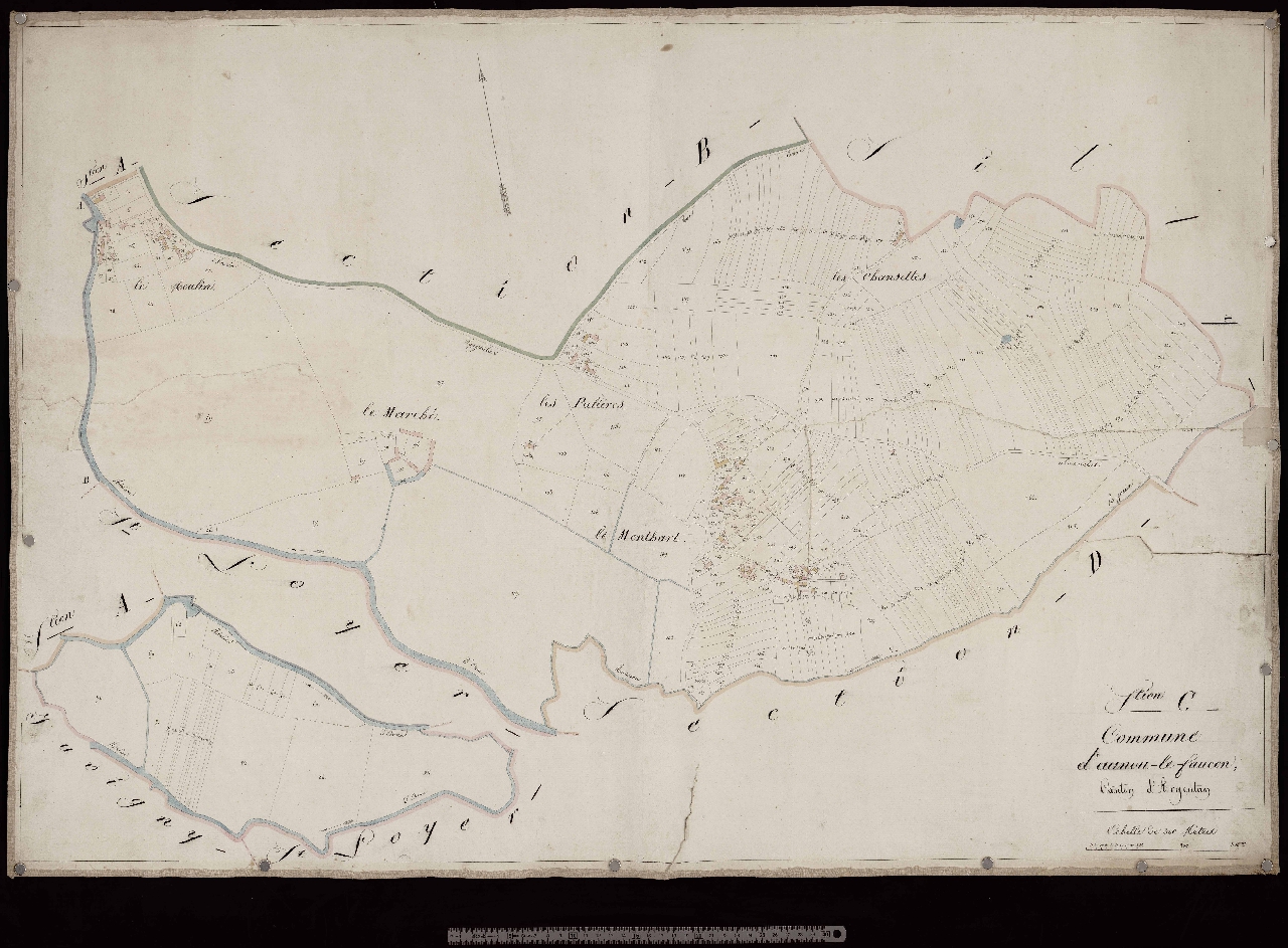Section C