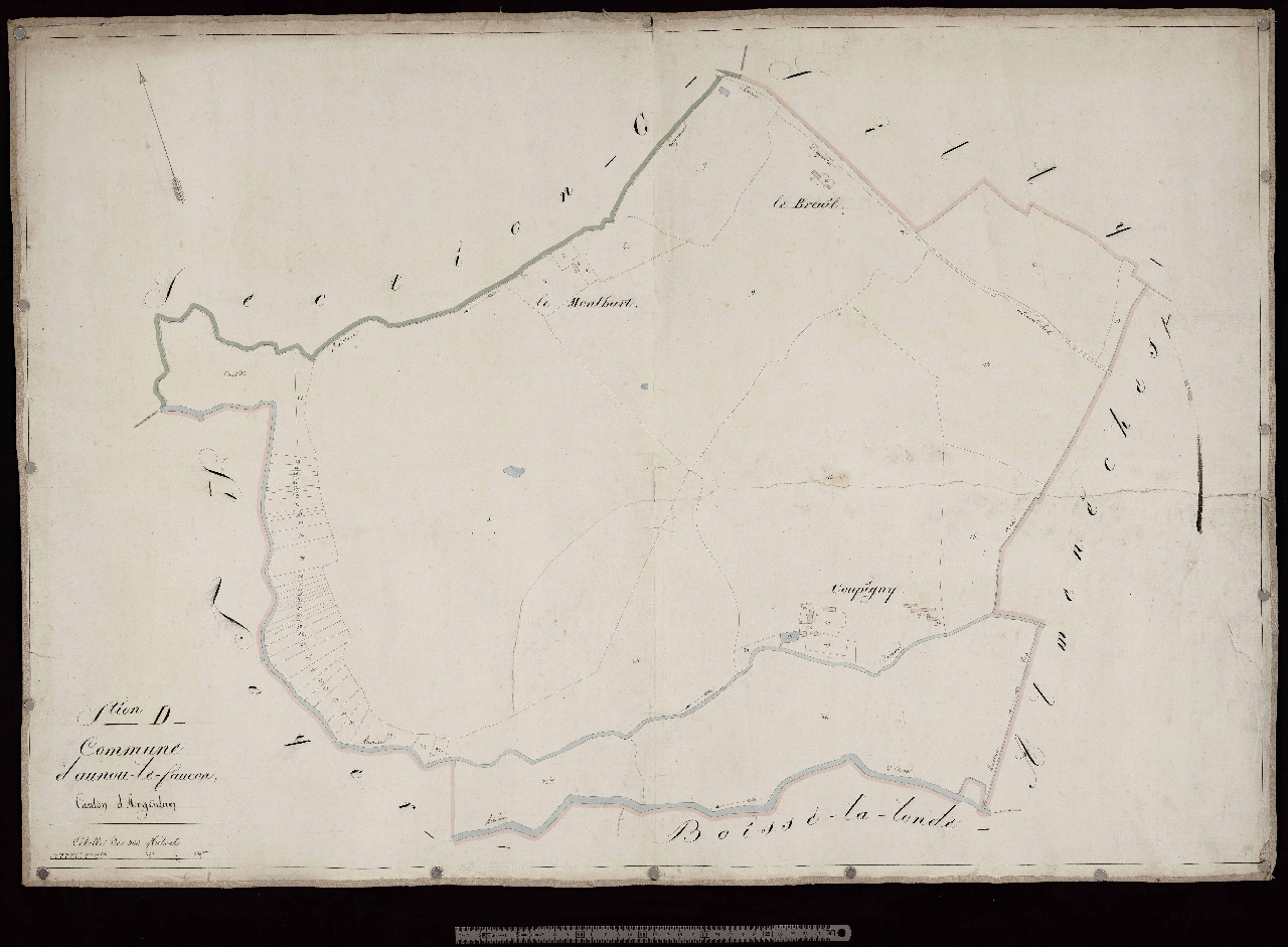 Section D