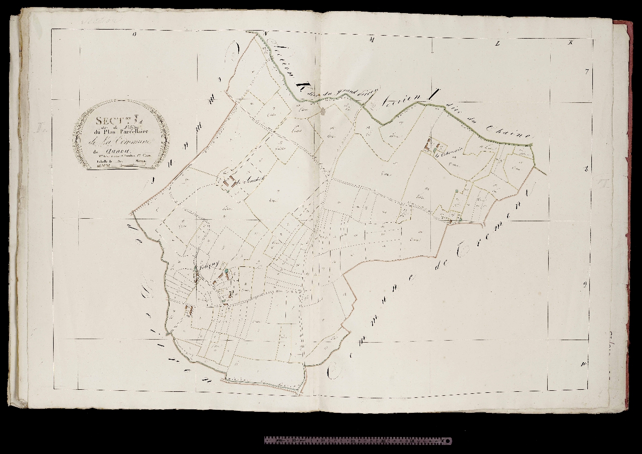 Section L
