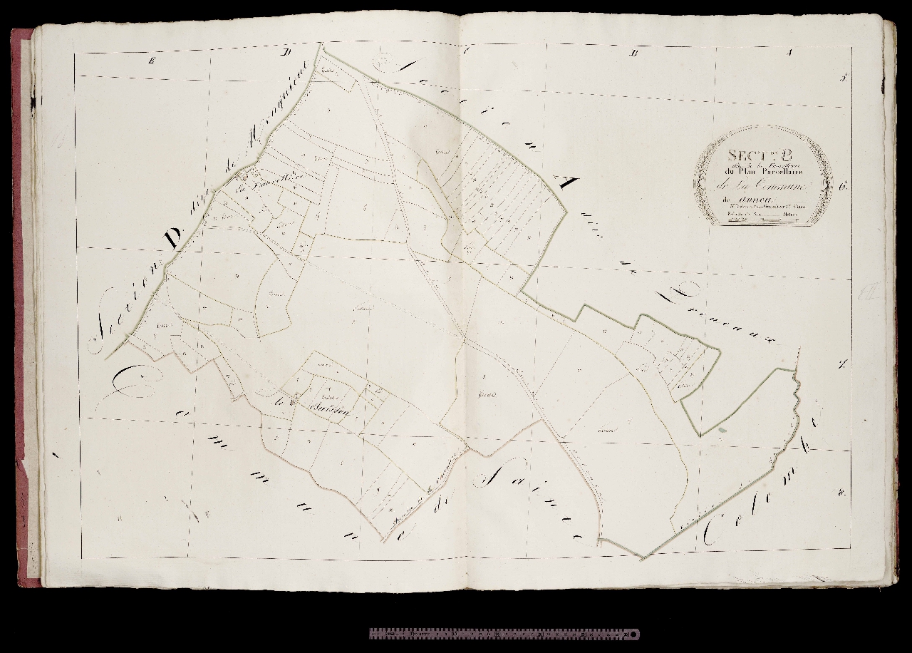 Section B