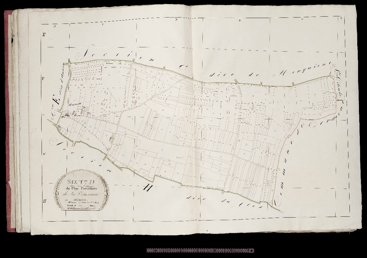 Section D