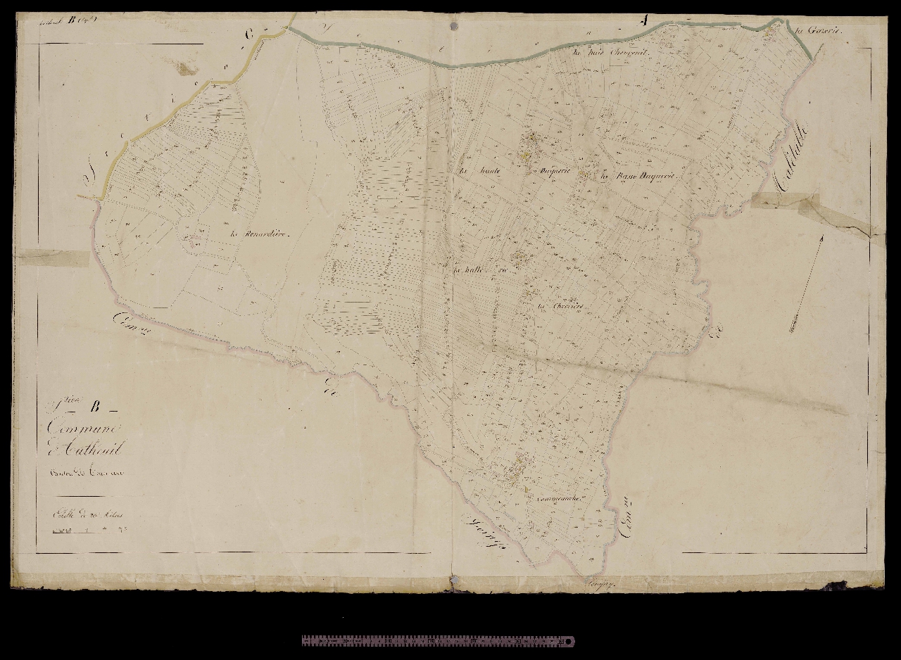 Section B