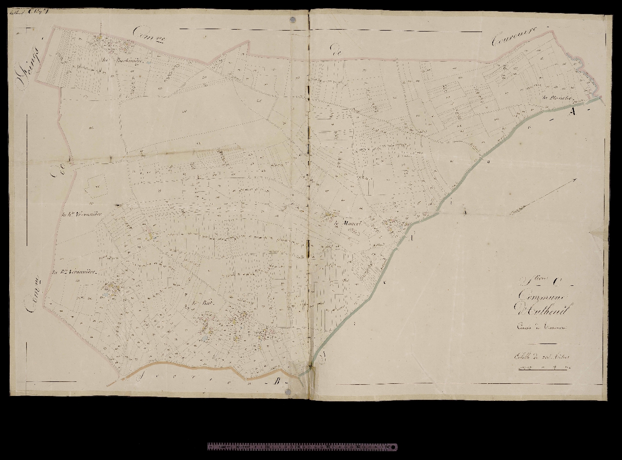 Section C