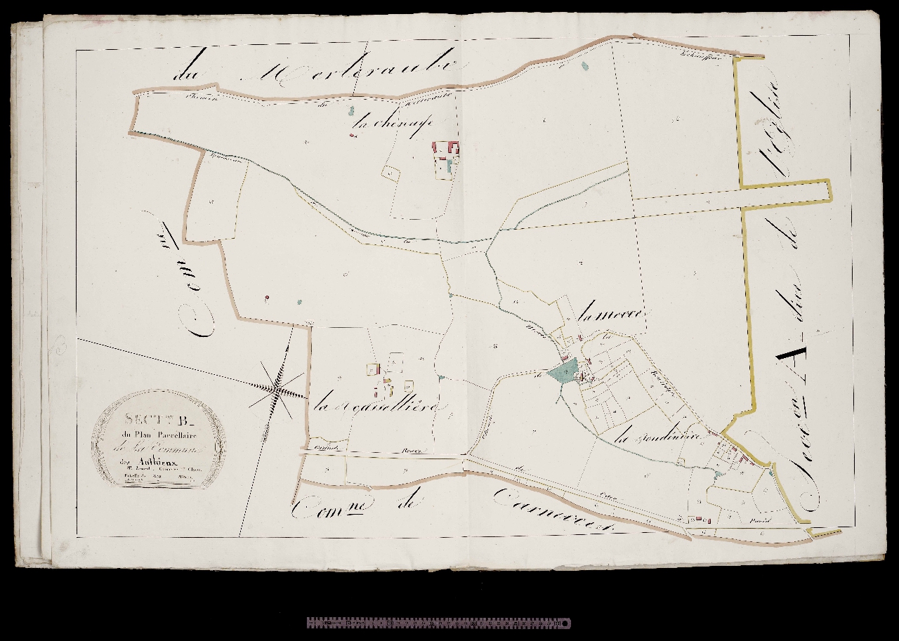 Section B