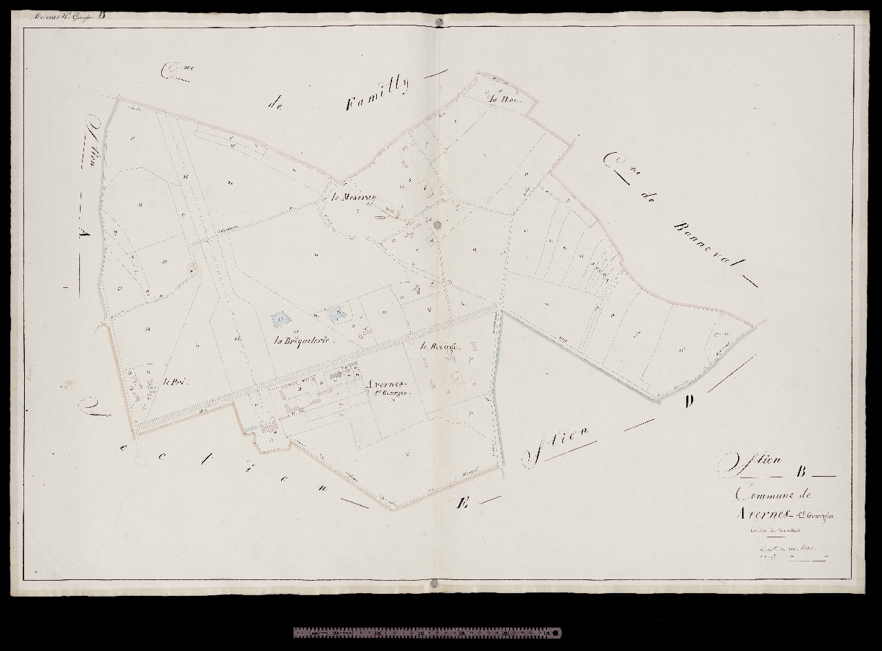Section B