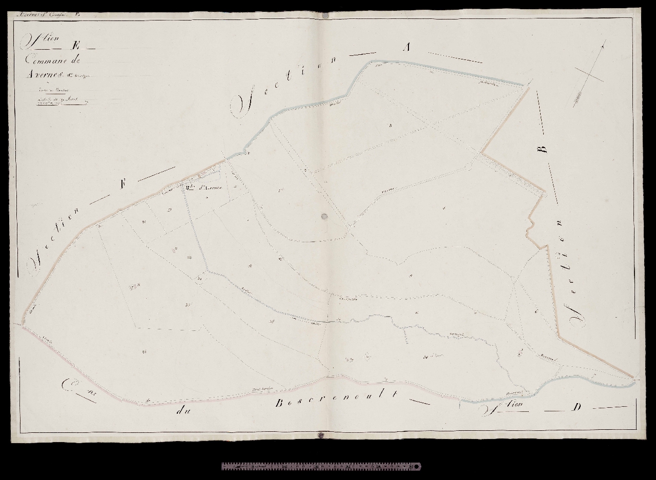 Section E