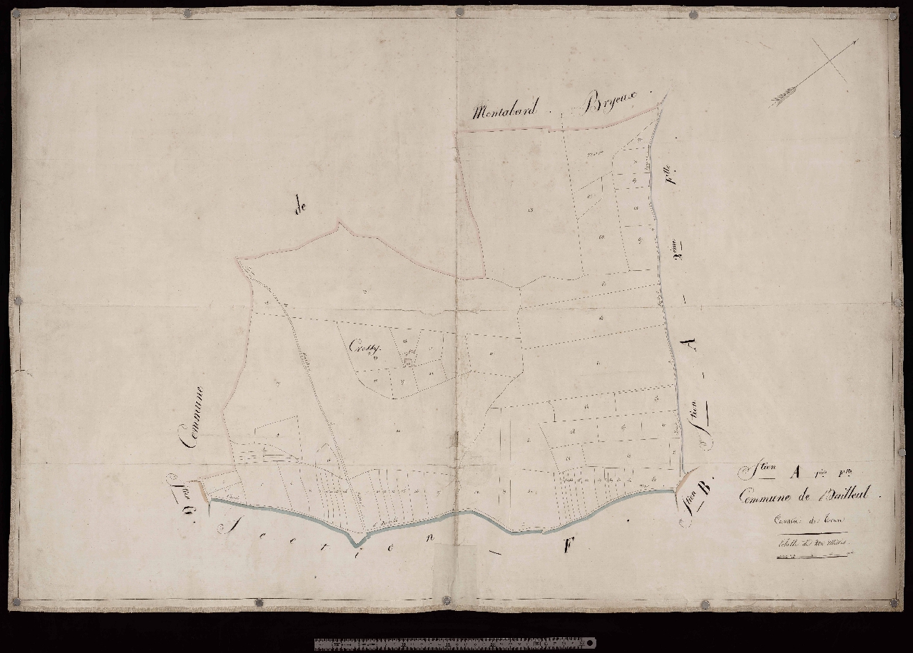 Section A1