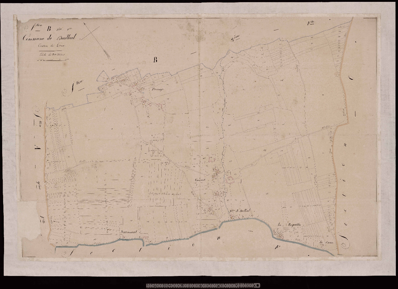 Section B1